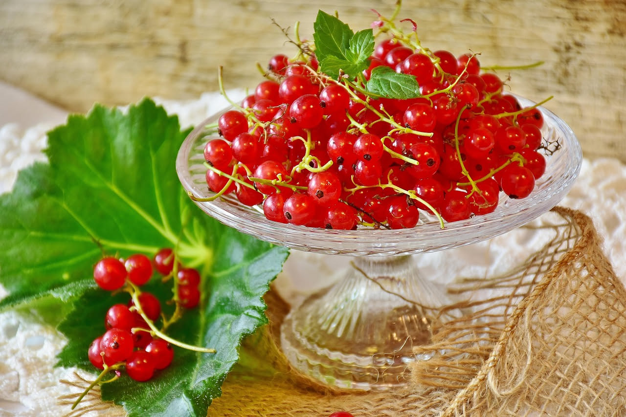 Ribes rosso in sciroppo