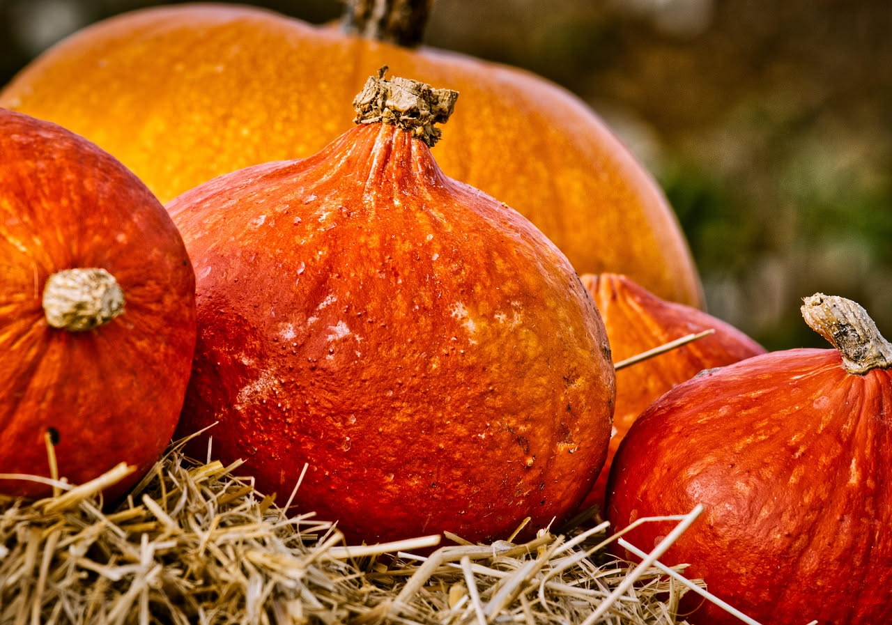 Ris e zucca