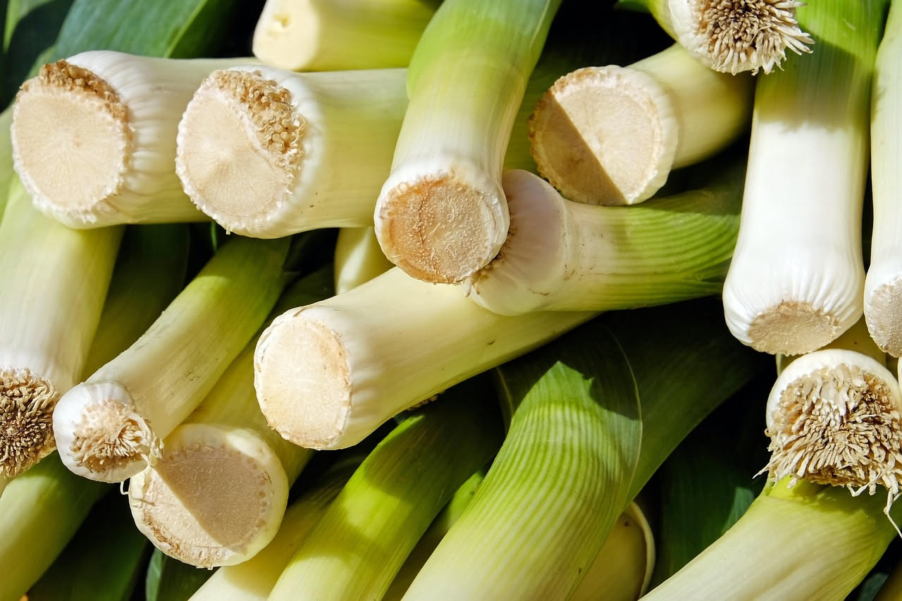 Piatto di riso bianco cremoso con fettine di porro bianco e verde, parmigiano grattugiato e prezzemolo fresco, servito in ciotola di ceramica bianca su tavolo grigio