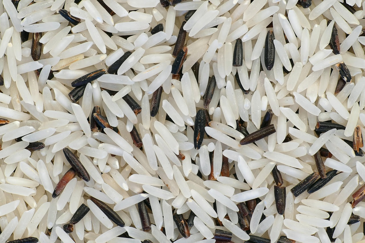 Risotto cremoso bianco in piatto fondo, decorato con scaglie dorate di tartufo nero sulla superficie e grana di formaggio, vapore appena visibile