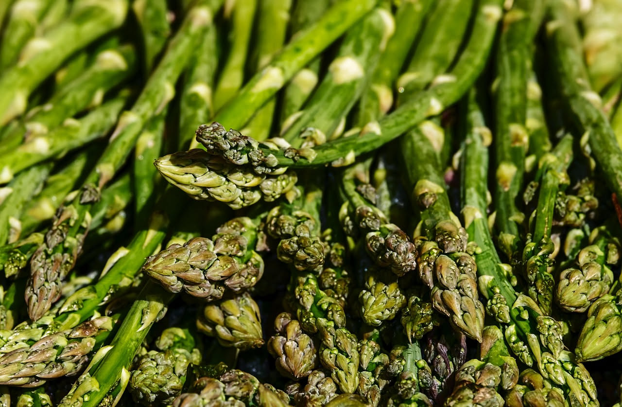Risotto cremoso color avorio con asparagi verdi e bianchi sparsi sulla superficie, grana di Parmigiano grattugiata, burro fuso visibile, piatto bianco, cucchiaio d'argento, fondo scuro sfumato