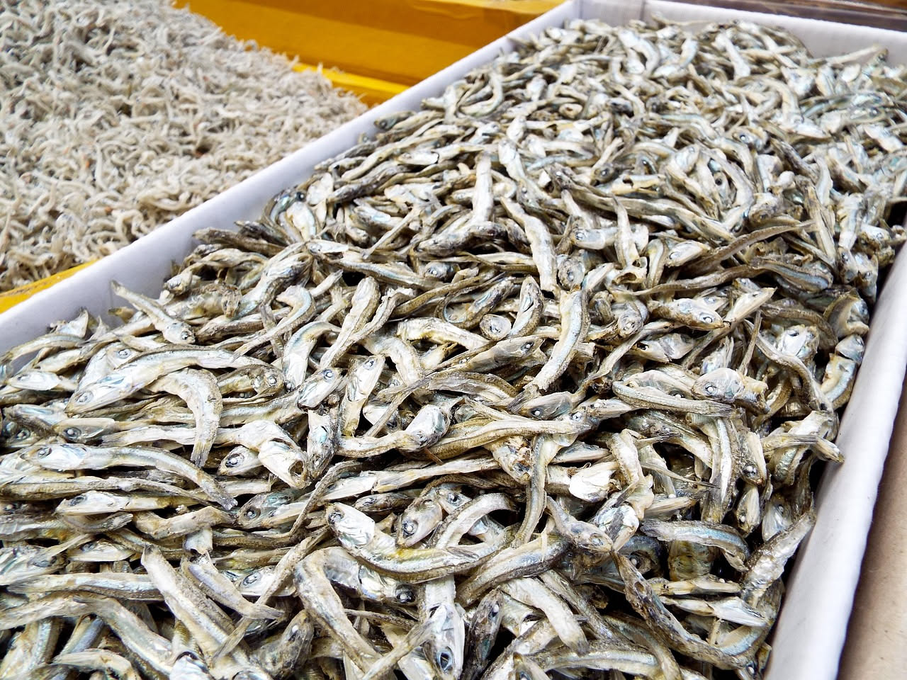 Sarde salate e essiccate