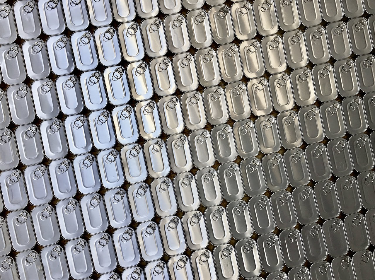 Sardine conservate
