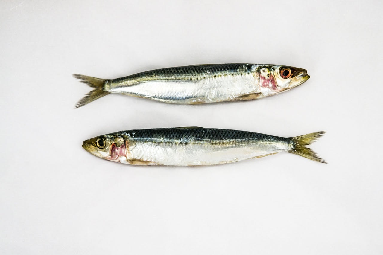 Sardine in saor