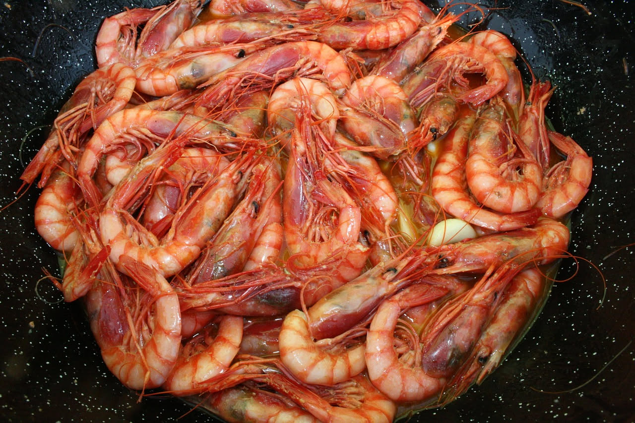 Scampi arancioni rosati disposti in ciotola con limone fresco affettato, prezzemolo verde e gocce d'acqua di condensa