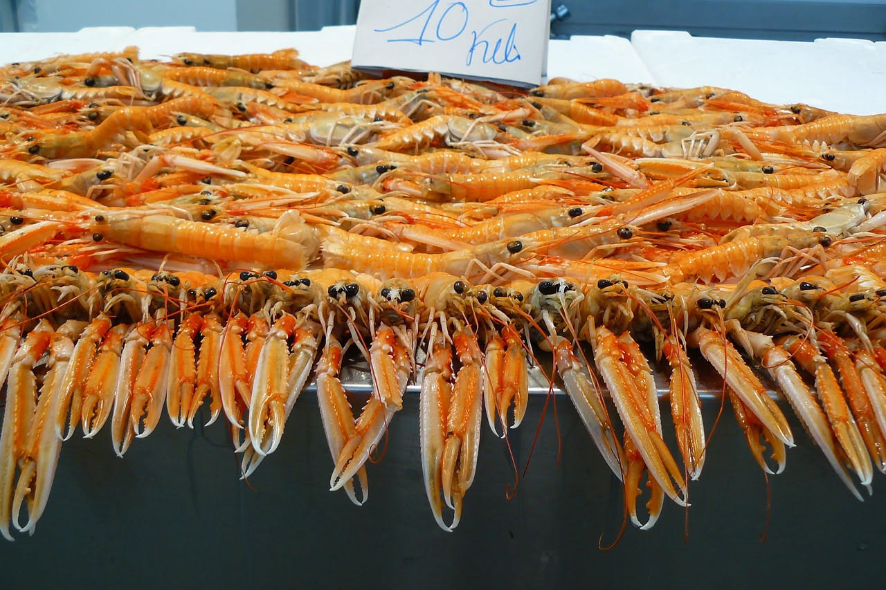 Scampi crudi affettati sottilmente disposti a ventaglio su un piatto bianco con gocce di olio extravergine e foglie di limone fresco