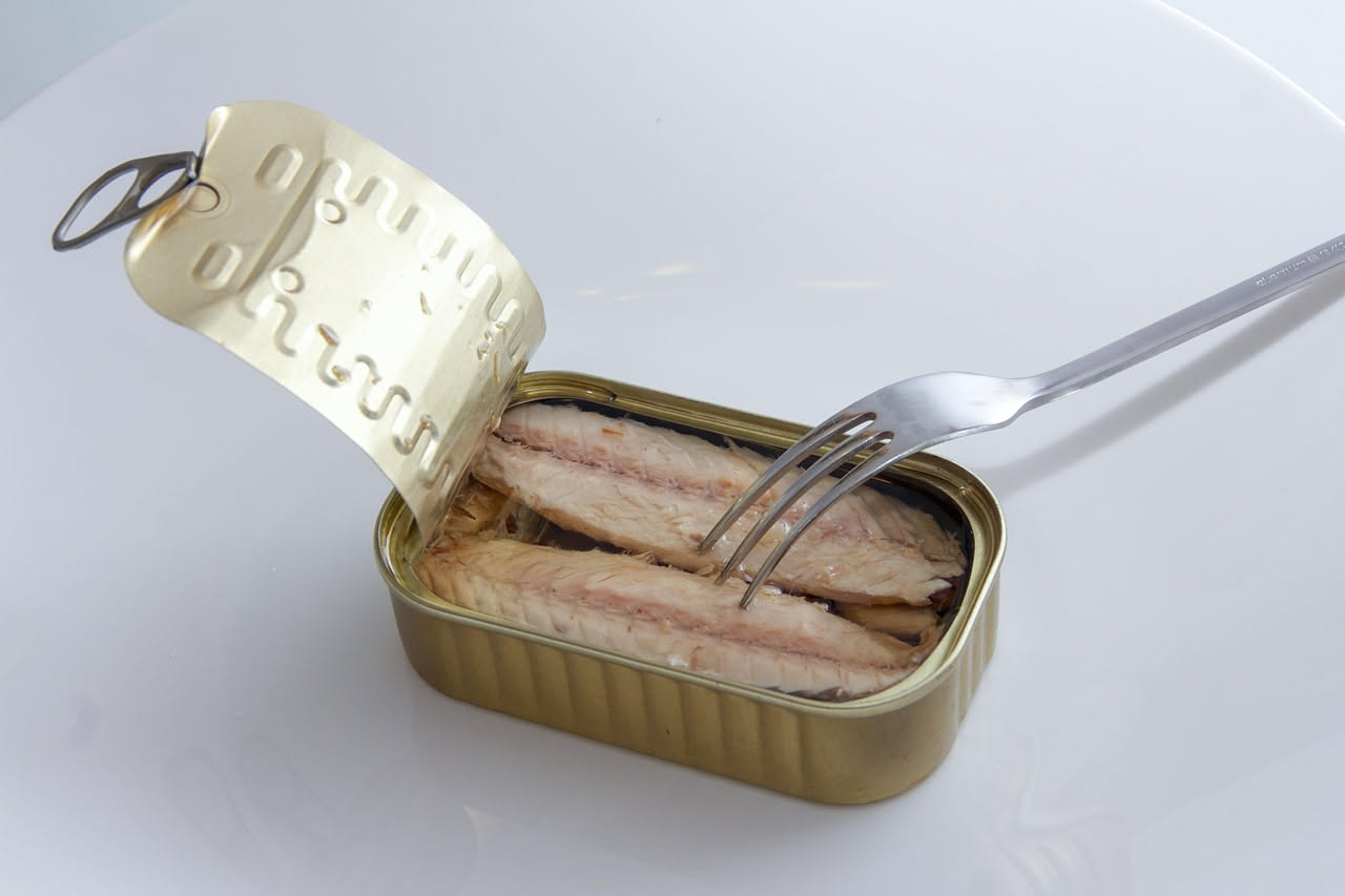 Sgombro marinato affettato in filetti su un piatto bianco, condito con fettine sottili di limone giallo, cipolla bianca e rosmarino fresco, con olio lucido e gocce di aceto visibili