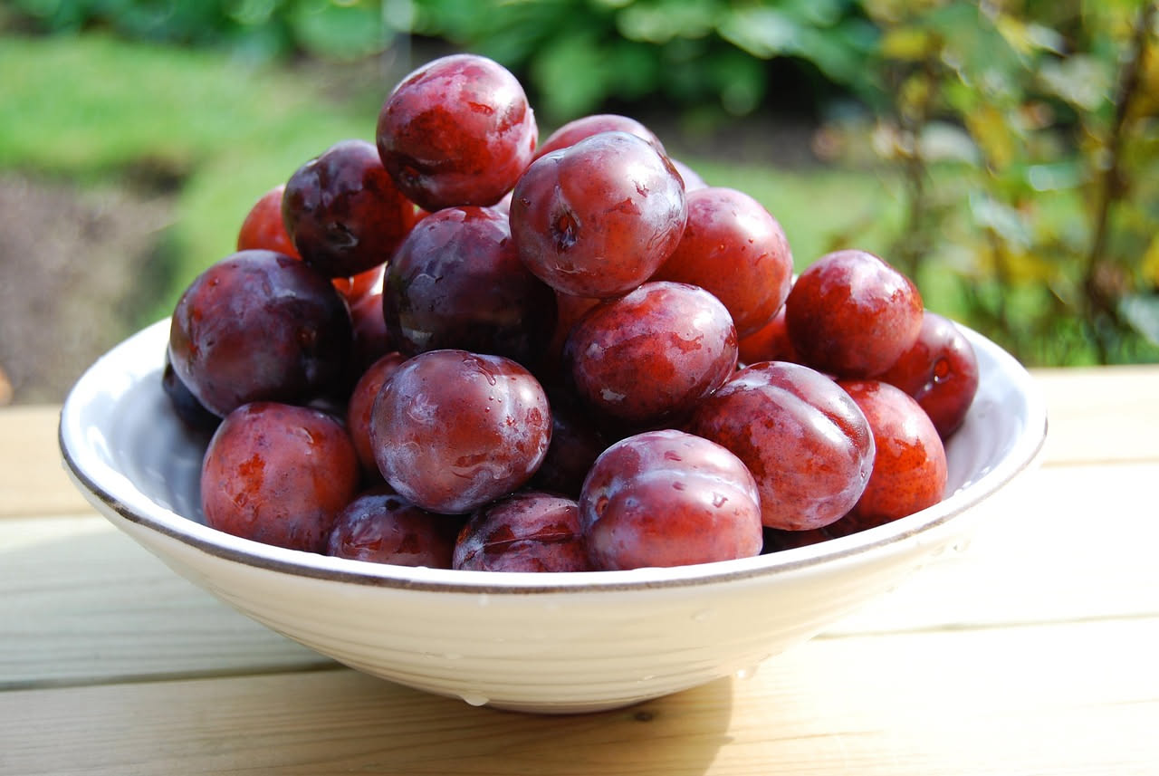 Susine in agrodolce