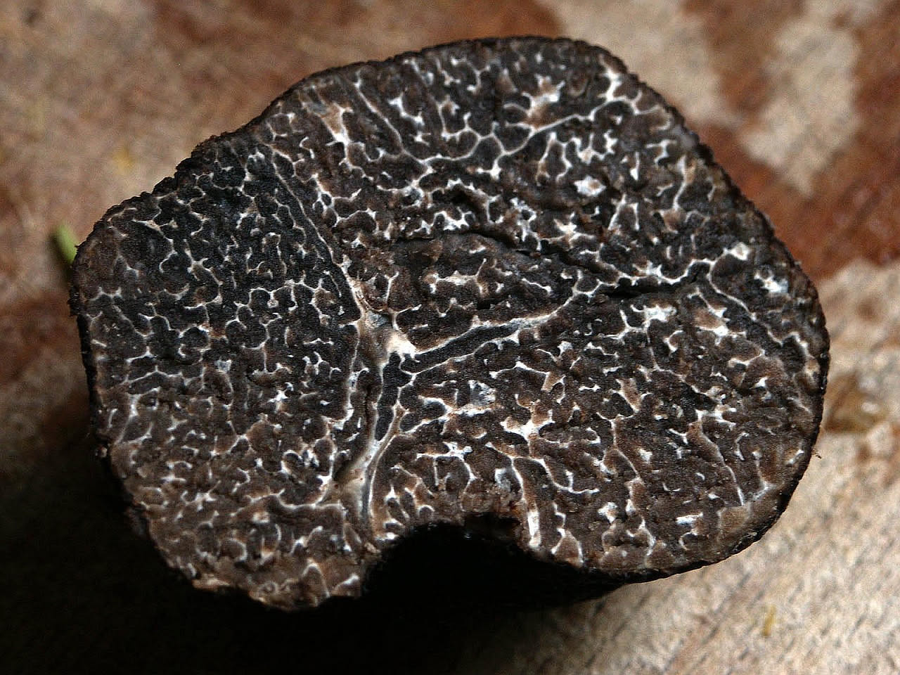 Tartufi biggi interi e sporchi di terra su un tagliere di legno chiaro, accanto a un coltello da tartufo e spazzola di setola naturale