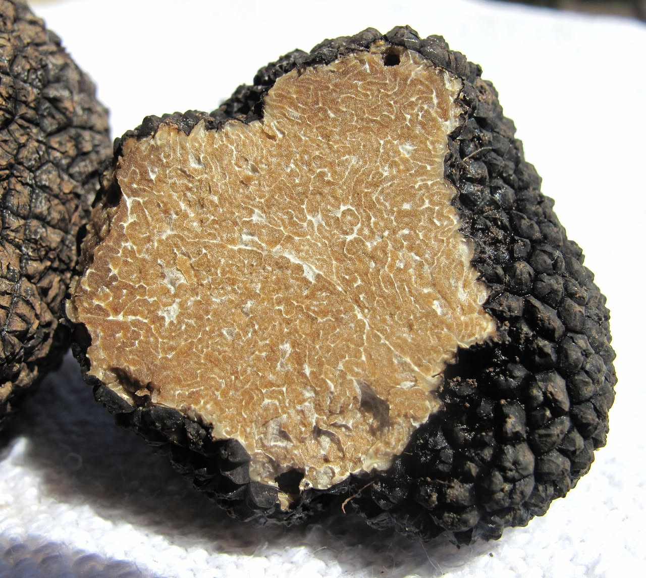 Tartufo nero intero con superficie verrucosa accanto a una grattugia e fettine sottili di tartufo su un piatto bianco con olio d'oliva