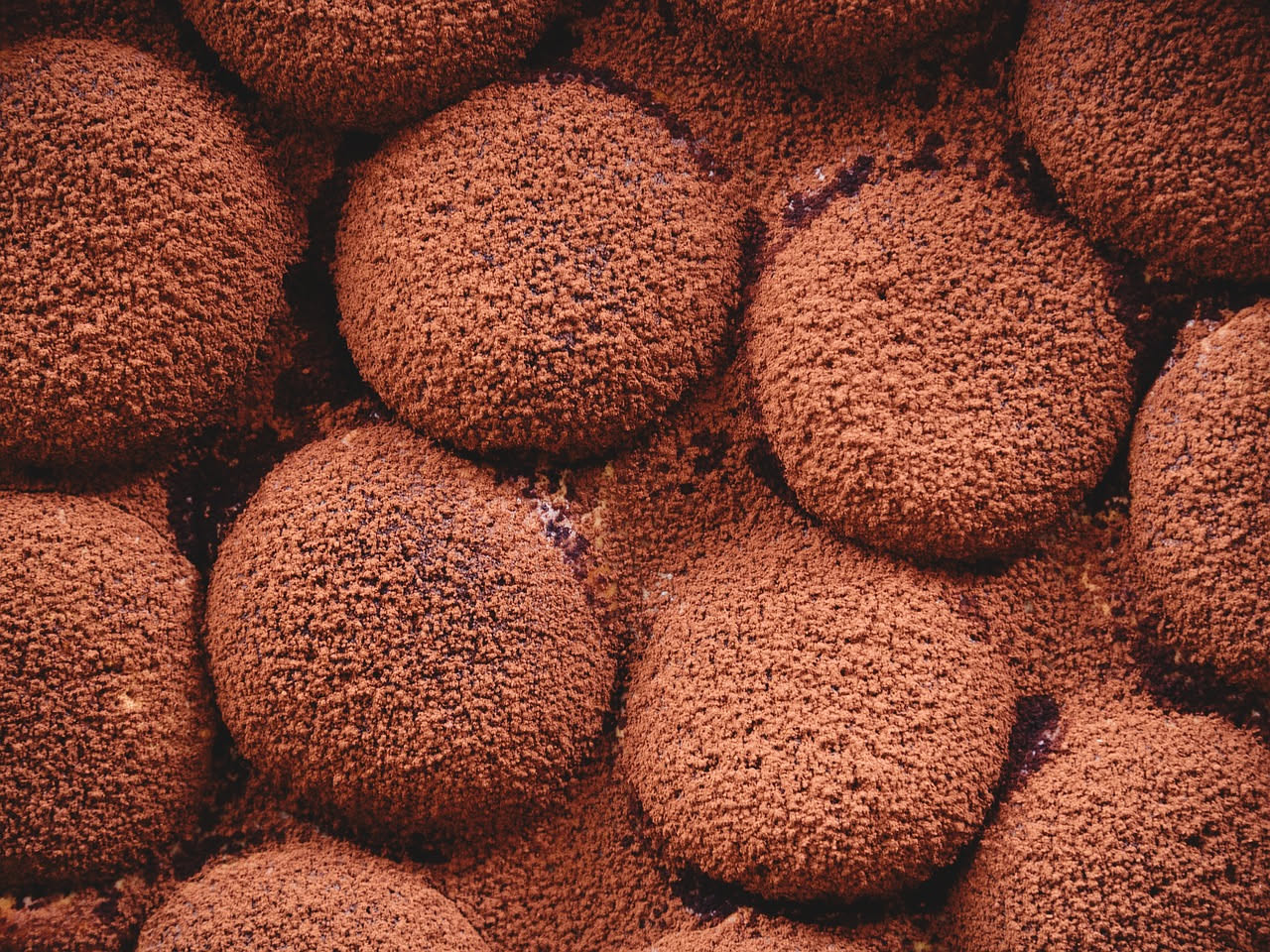Tartufo nero di Aspromonte: intensità terrosa e minerali che rigenerano corpo e palato