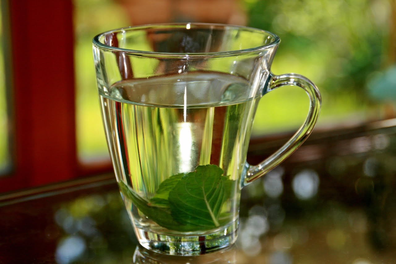 Tisana di menta