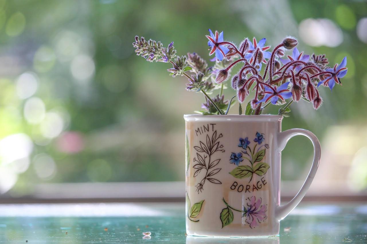 Tisane di Erbe Spontanee