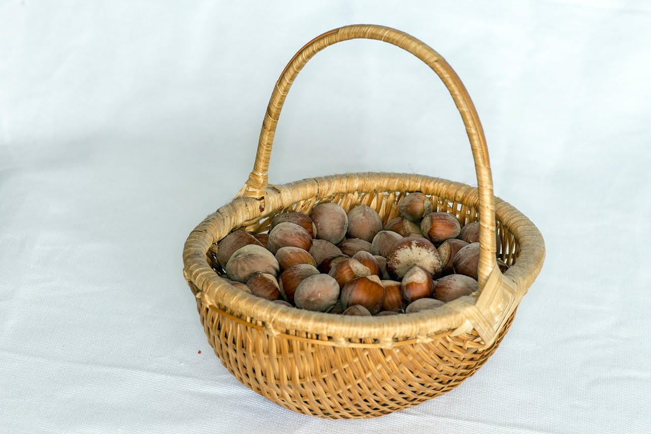 Torta di nocciola di Canale