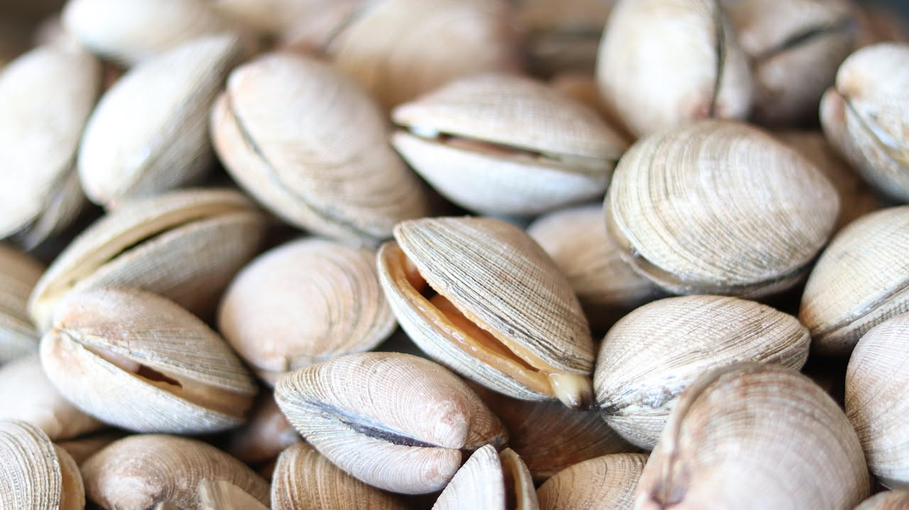 Vongole al forno: sapore iodato e delicato che nutre senza appesantire