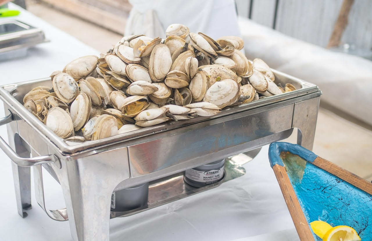 Vongole veraci in bianco