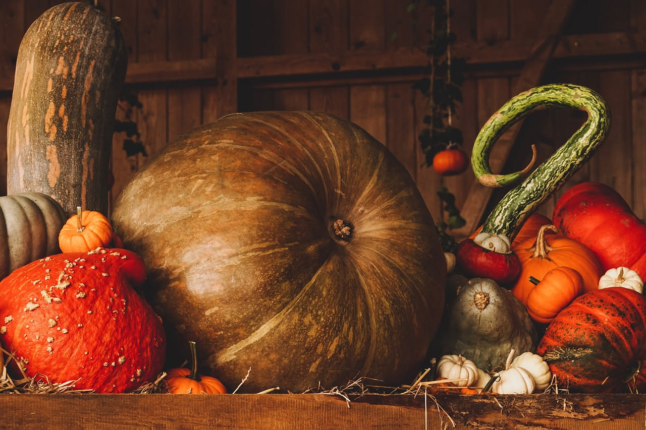 Zucca mantovana in mostarda