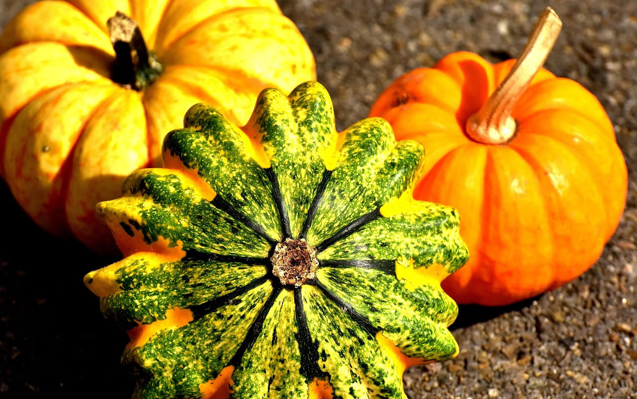 Zucche in agrodolce